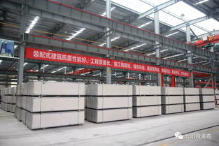 大工程丨云陽這個企業讓 綠色工藝 引領現代住宅發展新方向